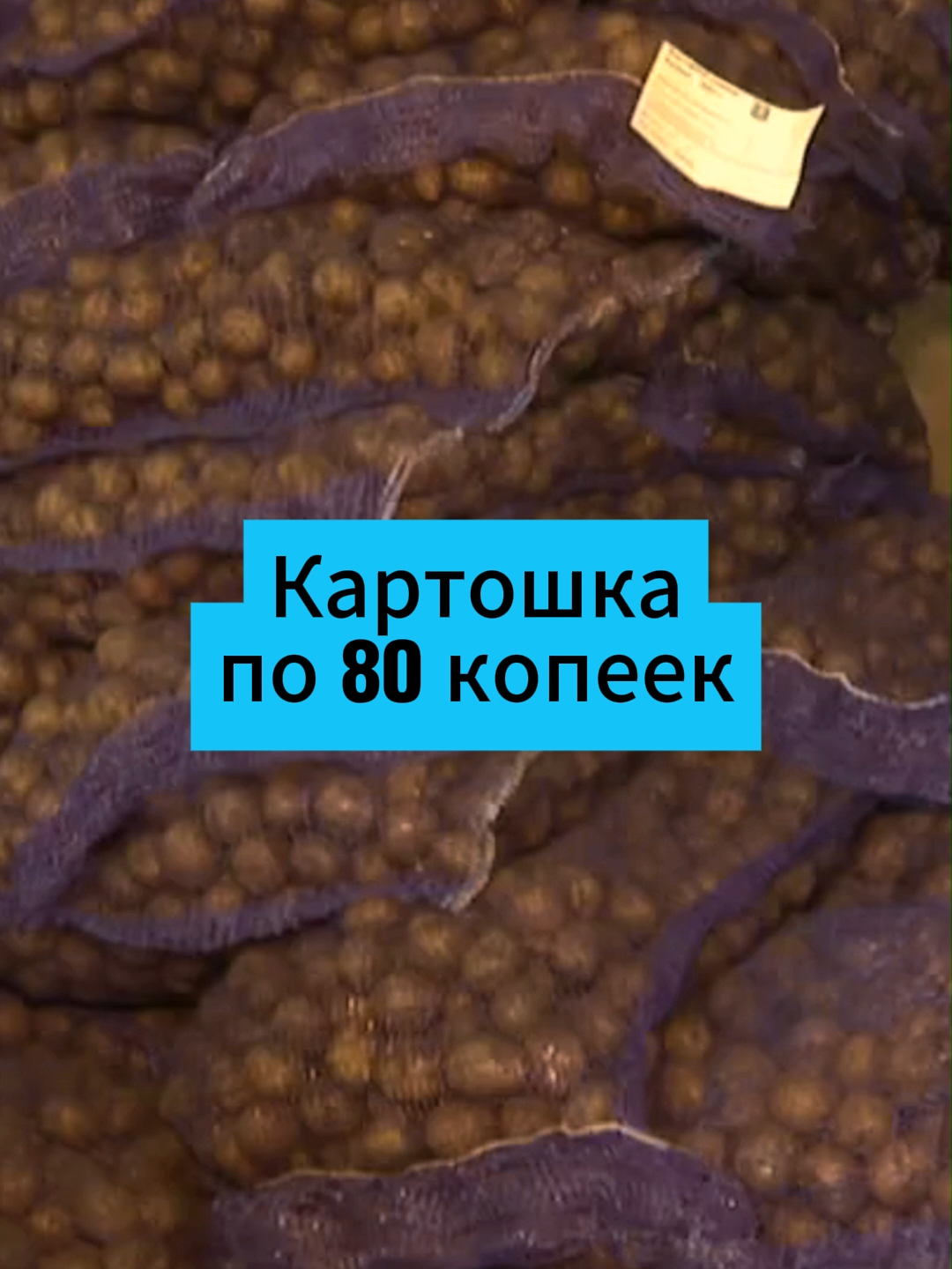 Почем принимают овощи и ягоды у населения #интересноебеларусь #новостибеларуси #чтослучилосьбеларусь #новостиминск #доставкаминск #магазинбеларусь #овощибеларусь #фруктыбеларусь🇧🇾