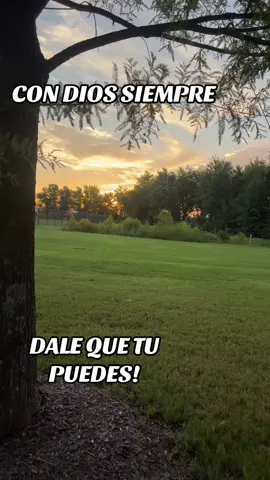 #dalequetupuedes 