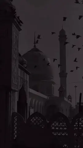#islamic_video #sallallahu_alaihi_wa_sallam #muslim #tik #ethiopian_tik_tok🇪🇹🇪🇹🇪🇹🇪🇹 