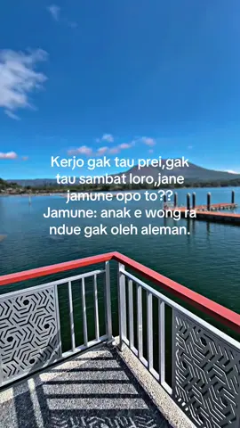 #anakrantau#bali#kintamani #sadstory #sw 