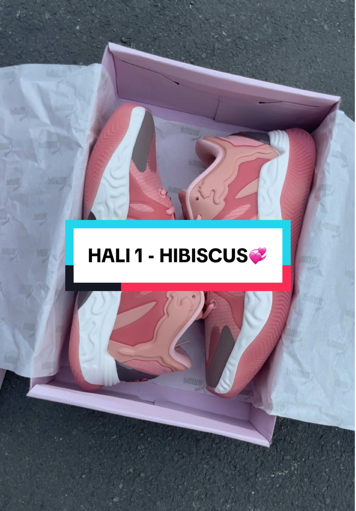 HALI 1 - HIBISCUS 💞 FB PAGE: Pick Up Store LINK ON BIO FOR SHOPEE🚨🚨 #hali1 #fyp #fypシ #fypppppppppppppppppppppppppppppppppppp 