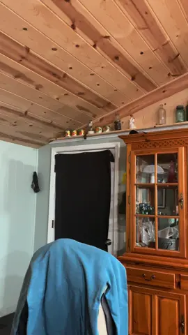 #bluebirdinmyheart🐦 