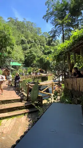 Khu Du Lịch Happy Hill ÐÀ LẠT#happyhill #khudulich Happy Hill#dalat #dalatreview 