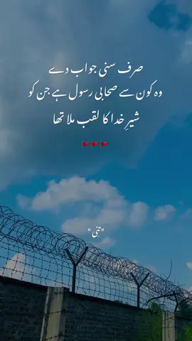 حضرت_علیؓ_شیر_خدا #یاعلی_مدد #یاعلی #foryou #fyp #fy 