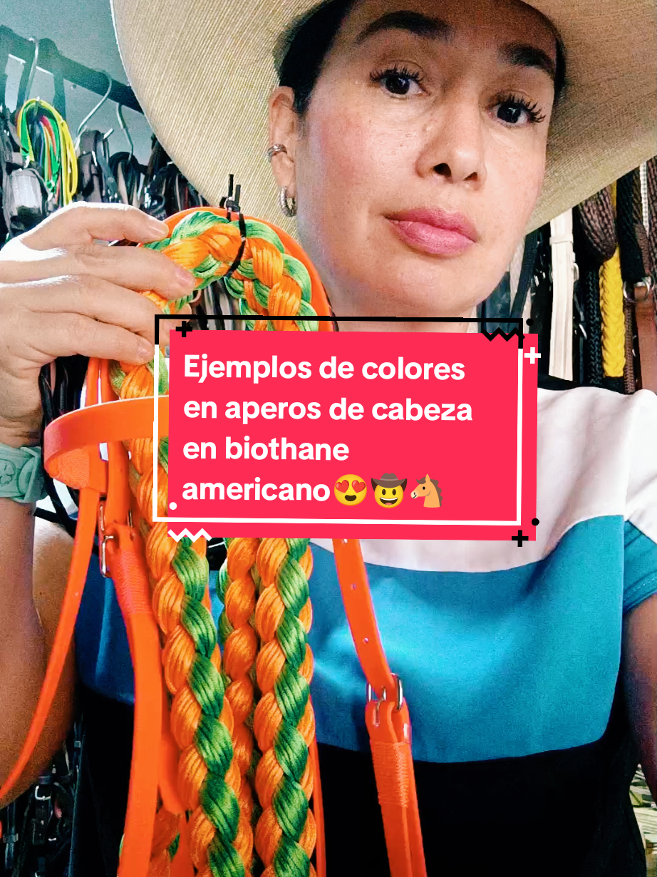 Ejemplos de colores en los que salen los aperos de cabeza en biothane americano plano😍🤠🐴. #rockycueros #aperosdecabeza #aperosbiothane #biothaneamericano #tiendaequina 
