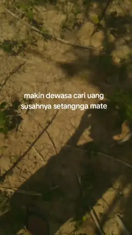 nda lama ampun 