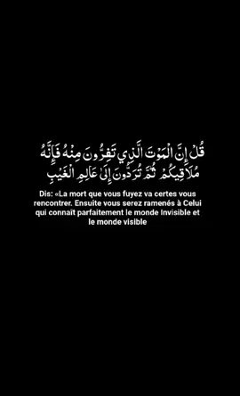 Chaque verset du Coran est une lumière qui éclaire le cœur et apaise l’âme. Écoutons, méditons… et laissons la Parole d’Allah nous guider #quran_alkarim #quranrecitation #millionviewsvideo #fyp #قرآن_كريم_راحة_نفسية 