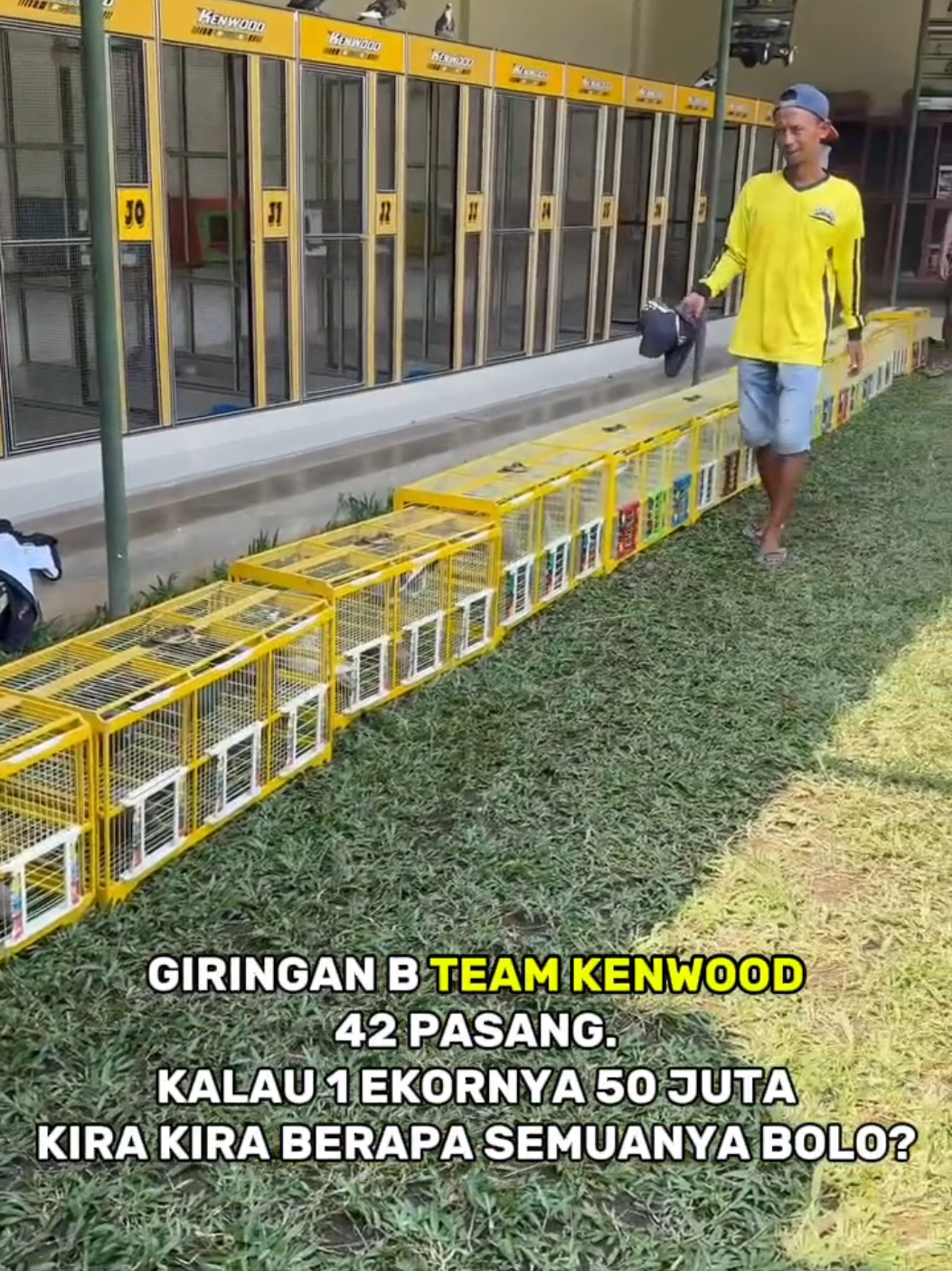 GIRINGAN B TEAM KENWOOD #merpatilovers  #merpatilosdor  #kenwoodmerpati  #merpati  #fyppppppppppppppppppppppp 