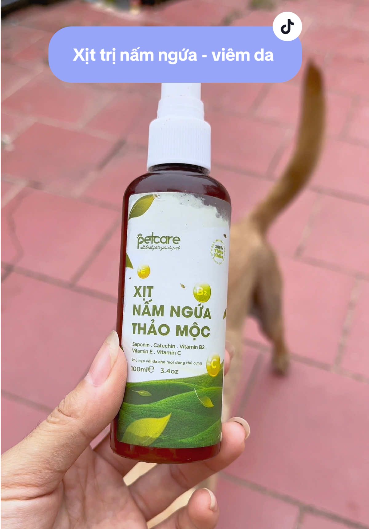 Trả lời @me.tien16 xịt nấm ngứa thảo mộc, trị nấm ngứa viêm da chó mèo #taphoanhacomkem #trinamchomeo #trivechomeo #chó #mèo 
