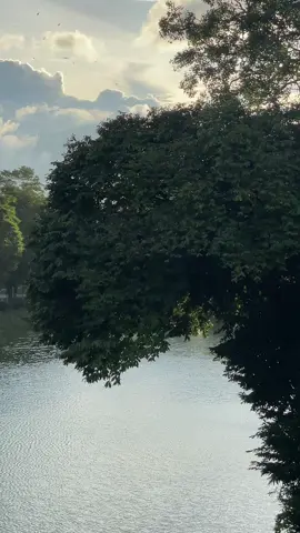 একটি নাটকই দেখি মহাকালের মঞ্চে🕊️ #nahideditz  #foryoupage#naturelover #cinematography 