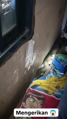 Penampakan ular di kasur .. #viral #fypシ゚viral #fyp #penampakan #hantu 