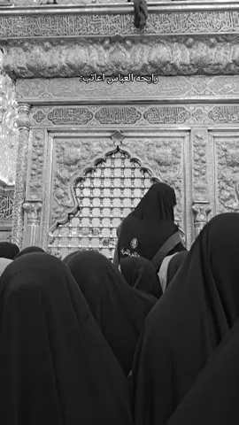 السلام على كفيل زينب#ياحسين #الحسين_ثورة_خالده #العباس_ابن_علي_ابن_ابي_طالب #العباس_ابن_علي_ابن_ابي_طالب #اللهم_صل_على_محمد_وآل_محمد 
