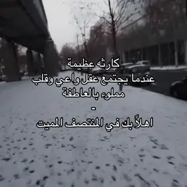 #fyp #حب #شعر #قصيد 