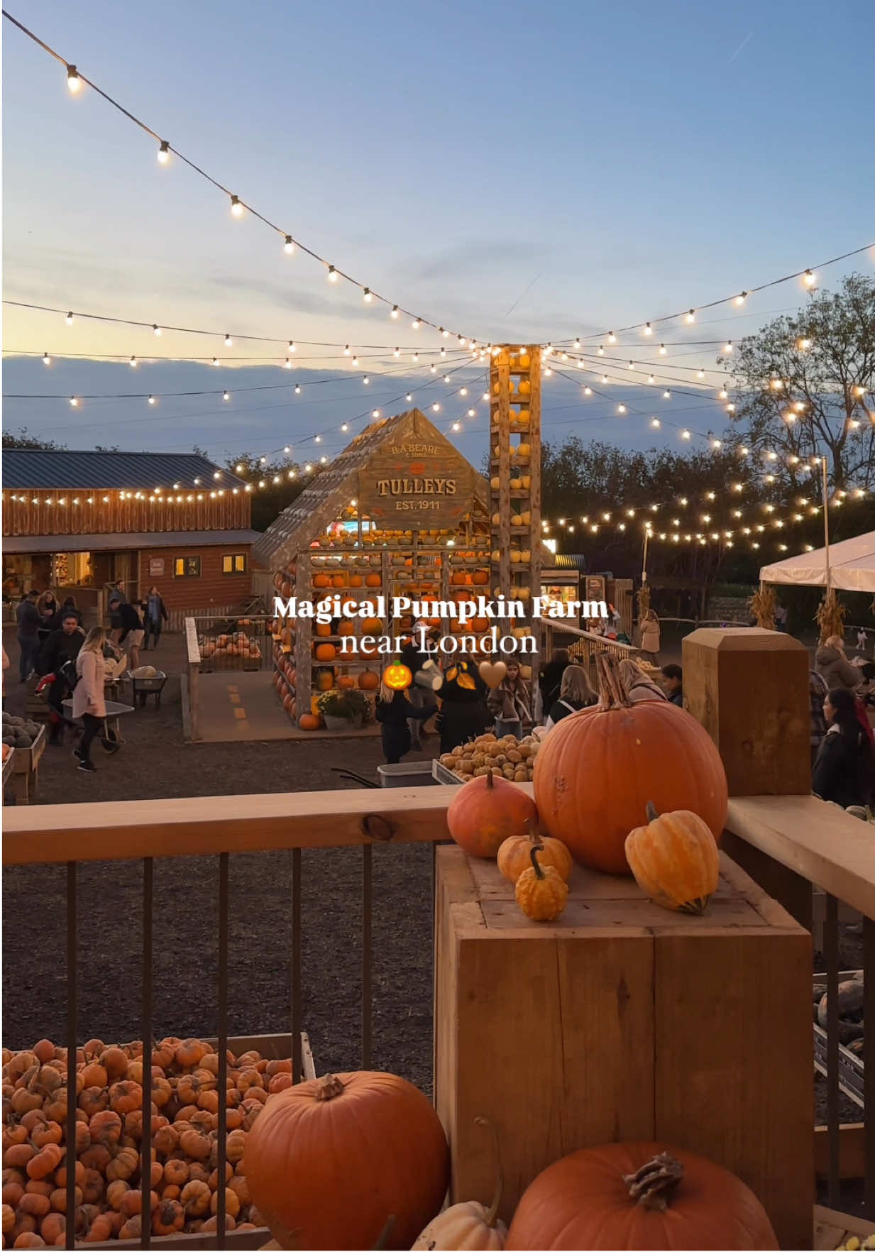 It’s almost time! 🍂🎃 This is your reminder to book your  pumpkin patch tickets this autumn  Officially 1 month until Tulleys pumpkin farm returns!! @Tulleys Farm @TulleysPumpkins  #autumn #pumpkinseason #pumpkinpatch #tulleysfarm #pumpkinfarm  Autumn in london, pumpkin patch london, things to do in london