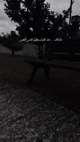 #مقابلك_بعد_الغياب 🤍✨