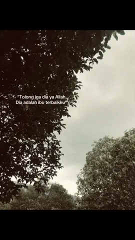 👵🏻🫂🫶 #viralvideo #videoibu #anakrantau #ceritaibu #tiktokviral 