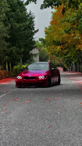 Falling down 🍂 #bmw #lowcarb #bimmer #bmwlife #fall 