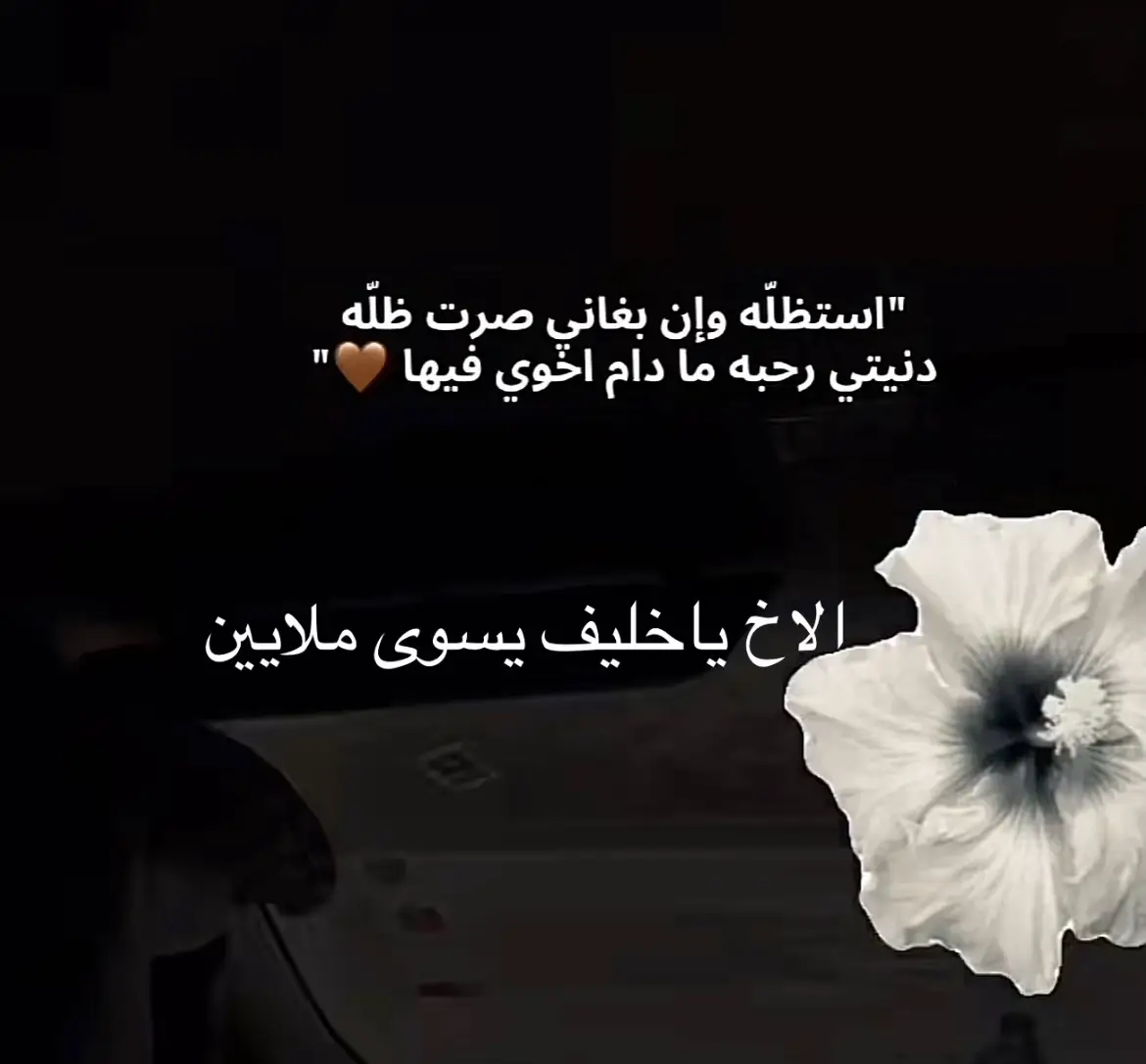 ذاك اخوي وعزوتي جعلني مافقد نباة♥️♥️