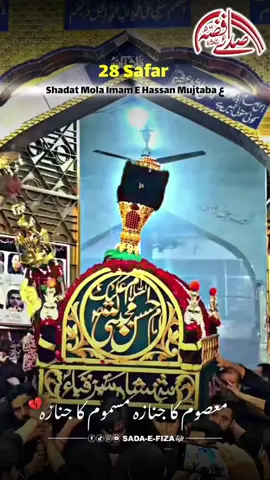 Jnaza Mola Imam E Hassan💔😭 #28safar #28safarshadatimamhassan #molahassan #foryou #azadar 
