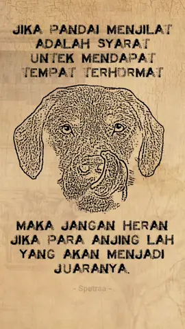 #bacotanovtt #sindirankerassssss #storysindiran #jamansekarang #penjilat 