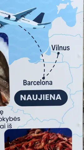 from Barcelona, Poland to Vilnus, Kaliningrad border🥰 #barcelona #poland #lithuania #vilnius #geography 