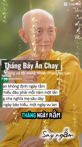 Con nguyện đem công đức bòn mót ở đời này xin cho Mẹ con đã mất được tái sanh vào cõi lành Nam Mô A Di Đà Phật 🙏🙏🙏#adidaphat🌿 #suthichgiackhang #thichgiackhang #phapmontinhdo #phâtphapnhiemmau 