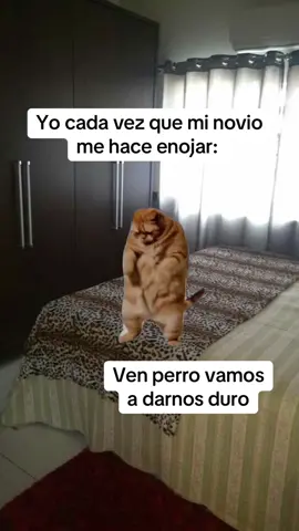 #amor #enojona #humor