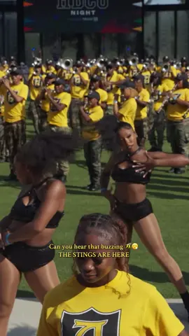 STINGS 🔥😮‍💨🐝 🎥 @demontrelltv( @De’Montrell )  via YouTube #hbcudance #swacdancers #asusensationalstingettes #stingettes #sensationalstingettes Full Video Linked In Bio 