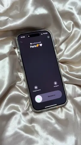 Paris calling✨❤️ Поїхали зі мною та @adriatic travel в місто мрії🥰🚌 По часу на телефоні стає ясно, коли мені приходять ідеї для відео в голову😂🙃 #paris #adriatictravel #париж #подорож #франція   