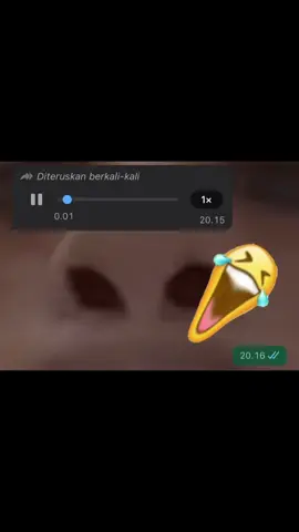 Bau buttul🤣