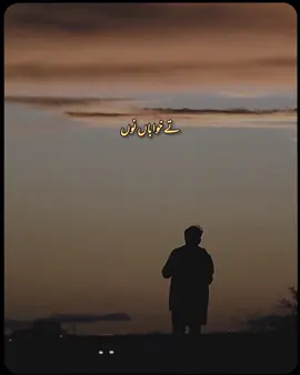 Ase lai assi rona chadd ta                                  . #Sadsongslayric #oldisgold #urdulayrics #pakistan #viralsong2025 