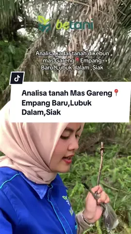 Pupuk hemat,biaya hemat,tanaman optimal,hasil panen meningkat#promoseruweekend #petaniindonesia🇮🇩🇮🇩🇮🇩🌿🌿🌿 #promomakanmerdeka #fypシ #betani 