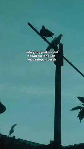 Kenapa wanita harus mandiri dari segi finansial???? Karena tidak semua laki-laki mampu membiayaimu meskipun dia suamimu sendiri😁😅🥰