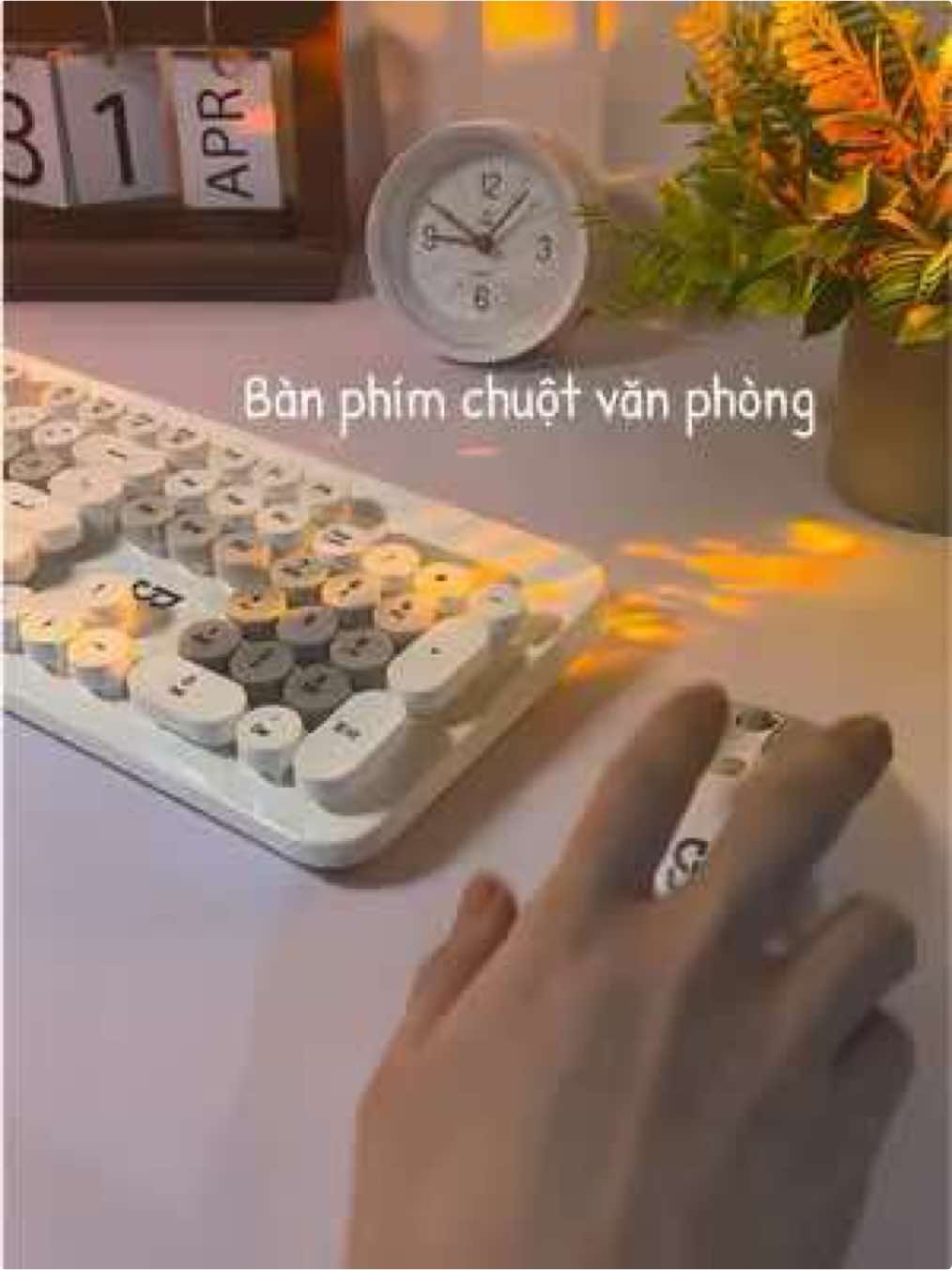 Combo bàn phím chuột  văn phòng tiện dụng #combophimchuot #banphimkhongday #banphimvanphong #chuotvanphong 