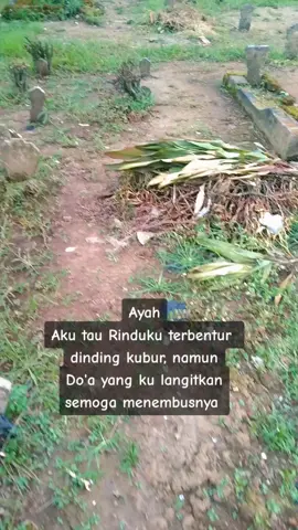 Swargi langgeng Bapak Aamiin3x 🤲 entah kapan bisa sowan lagi😭#wongmalang #rinduayah #ziarahkubur #quotes #storywa #masukberandafypviralシ #bmihk #fypviralシ #tkwhongkong #Alfatihah 