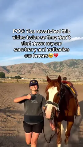 Every kind comment would mean a world to me 🥹💔#horses #shelter #sanctuary #animalsoftiktok #horselovers 
