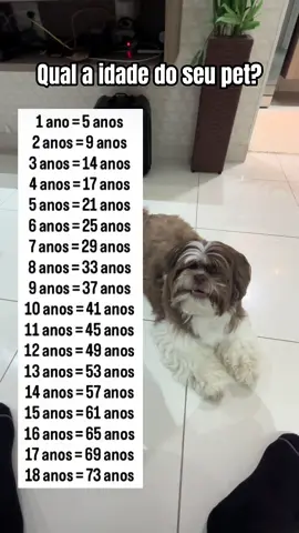 Qual a idade do seu?