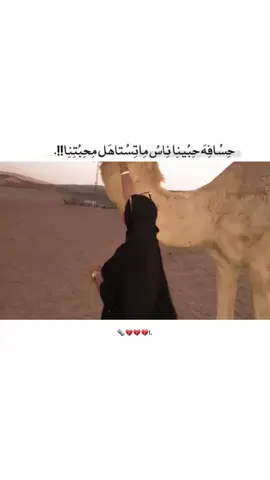 مــــــــــجرد ذوق💔💔🗞❗ #يمسهم_بالخيـر_عربان_التيك_ت🍂🥀 #بدوانك_سعدهم_قايم🔥💪 #مالي_خلق_احط_هاشتاقات🧢 #حناجرة_سعدهم_قايم #مزيونة_الجنوب🦌🤎  . 