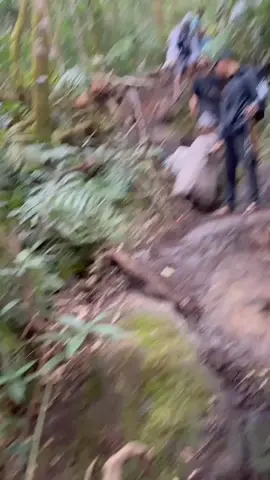 Sabtu, 9 Agustus 2025 🌿 Pokdarwis bersama para pendaki yang berada di puncak Gunung Tanggamus melakukan aksi pembersihan jalur dan puncak. Hasilnya, ±10 kantong sampah dan 10 carrier penuh sampah berhasil kami turunkan ke basecamp. Terima kasih kepada semua yang ikut peduli dan beraksi nyata menjaga keindahan alam. #gunungtanggamus  #saveourmountain  #pedulialam #promoseruweekend #pendakilampung #pendakigunung #creatorsearchinsights 