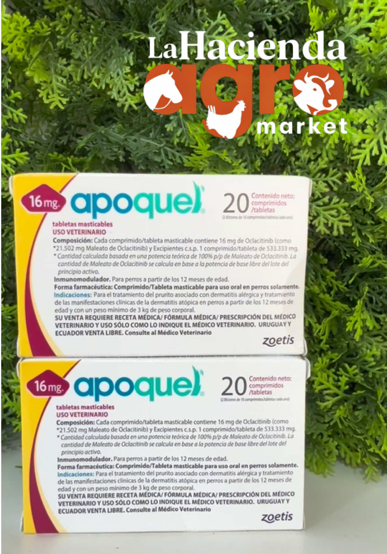 Apoquel es un medicamento de uso veterinario desarrollado por Zoetis, indicado para el control rápido y eficaz del prurito (picazón) y la inflamación asociada a dermatitis alérgica y dermatitis atópica en perros #dermatits #mascotas