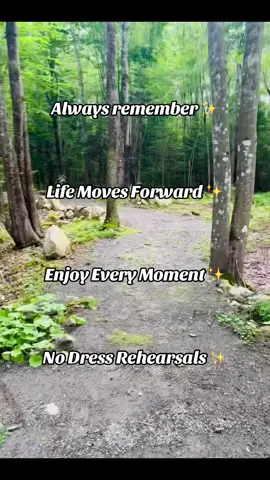 #walkinthewoods #beautifulday #CantStopWontStop #fyp #LetsGo