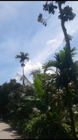 প্রাকৃতিক দৃশ্য #foryoupage #forviralvideo 🥰🥰