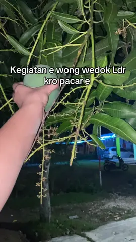 🤣🤣🤣 #fyppppppppppppppppppppppp #fypシ゚viral 