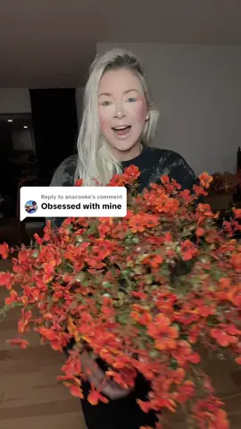 Replying to @anacooke these are GORGEOUS 🤩🤩🤩 #FallArtificialFlowers #Artificial #FallFlowers 