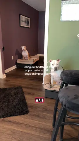 Being an @Sniffspot host has more benefits than just extra income. Every booking gives us a chance to work on our dogs’ training, and each guest brings new smells to their backyard. If you’ve been thinking about becoming a SniffSpot host, this is your sign to do it! 