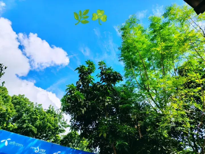 মন মাঝি খবর দার ❤️🌳🌲☘️🌿❤️#natural #viral