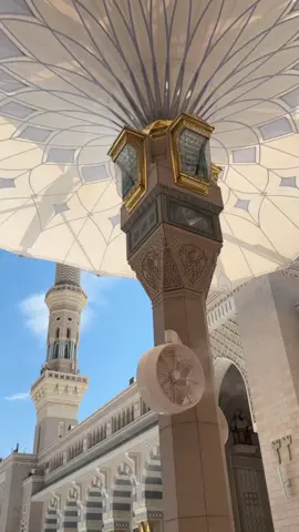 ٢٨ صفر استشهاد رسول الله 😔💔 #المدينه_المنوره #وفاة_النبي #explore #اكسبلور #فاطمة_الزهراء 