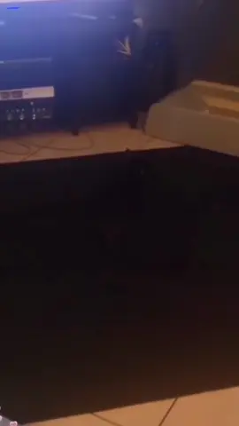 so funny!!!#cats #cute #funnycat #funny #funnyvideos