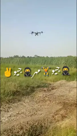 🚀🚀👈🥷🥷🦁🦁💪💪