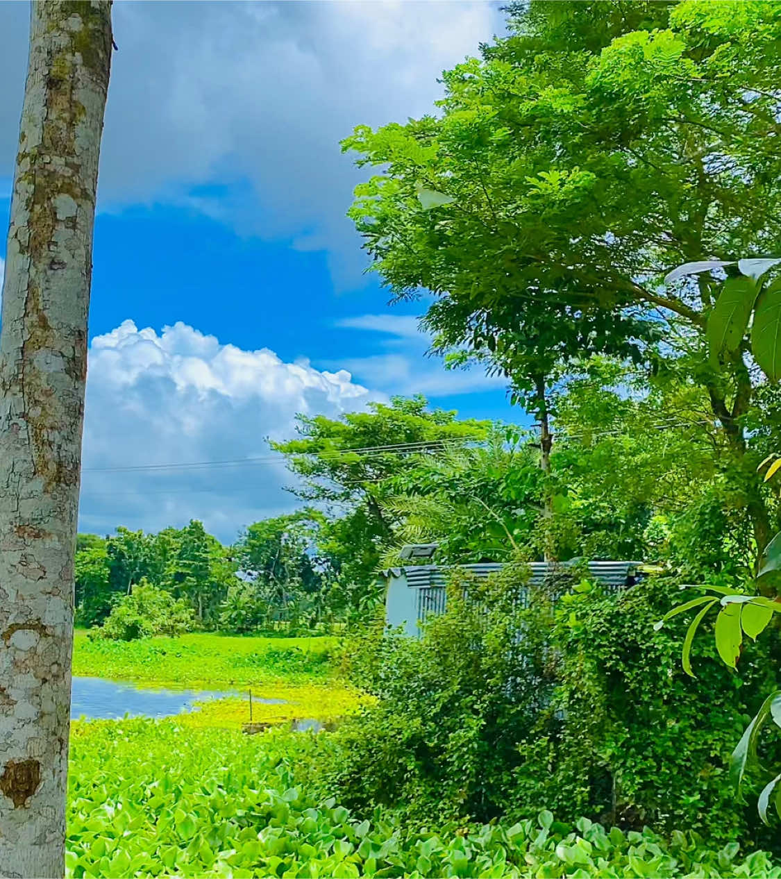 🕋❤️‍🩹#fypシ #foryou #nature #viralvideo #ইসলামিক_ভিডিও #Love #abid @TikTok @For You 